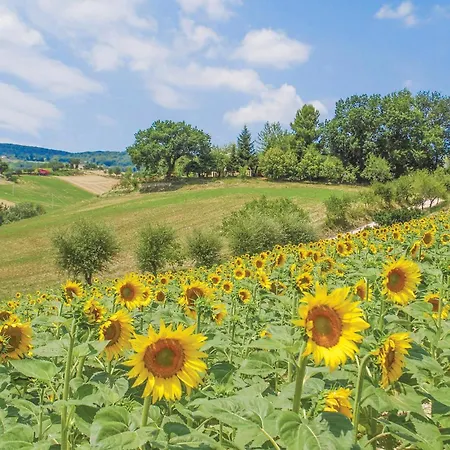 Gorgeous In Loc Avenale, Cingoli בית נופש Avenale